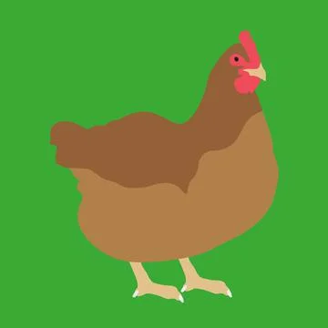 Chicken vector icon isolated on green background Stock Illustration