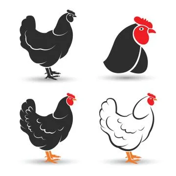 Chicken vector Stock Illustration