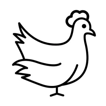 Chicken Vector Illustration Stock Illustration