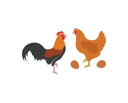 Chicken vector illustration Stock Illustration