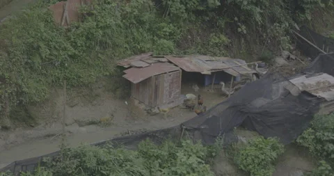 Chicken Walking Stock Footage 141388819