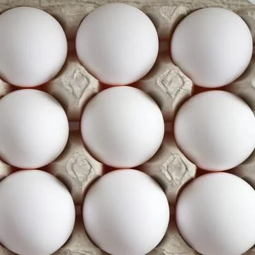 Chicken white eggs in a box close-up Stock Photos