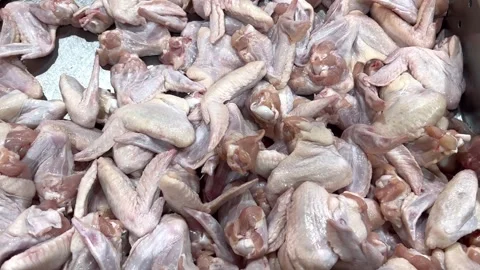 Chicken wing Stock Footage 323933370