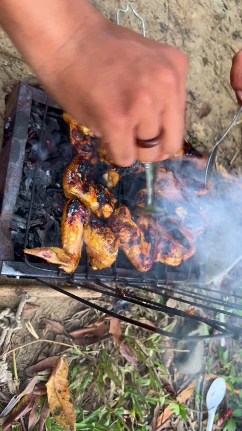 Chicken Wings Grilling on Barbecue Stock Footage 332334604