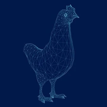 Chicken wireframe Graphic Design. Vector illustration. Illustrazione stock