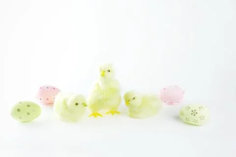 Chickens and Easter eggs on a white isolated background. Stock Photos