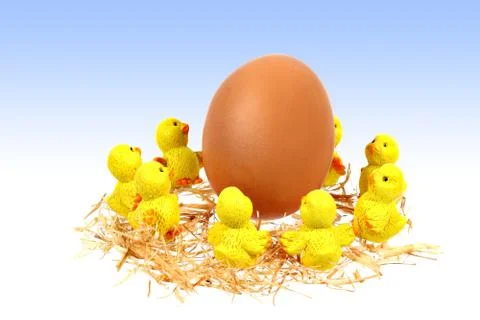 Chickens and egg Stock Photos