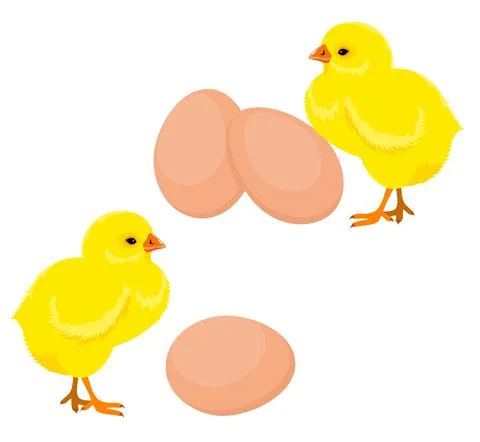 Chickens and eggs. Easter eggs and yellow chickens Stock Illustration