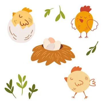 Chickens and eggs set. Chicken hatches from the egg. Nest and tray of chicken Stock Illustration