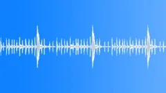 Chickens in barn, SFX Sound Effect