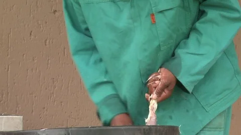 Chickens being plucked Video stock 84455326