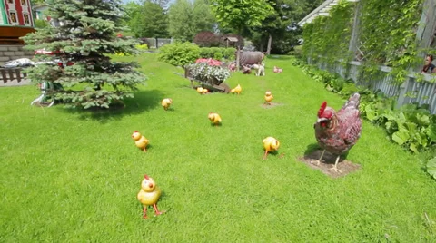 Chickens with chicken Vídeos de archivo 36788712