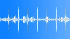 Chickens Clucking loop Sound Effect