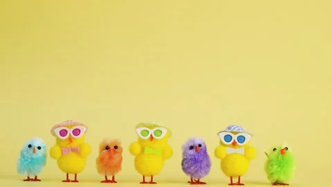 Chickens easter stop motion animation yellow background with copy space Stock Footage 300362638