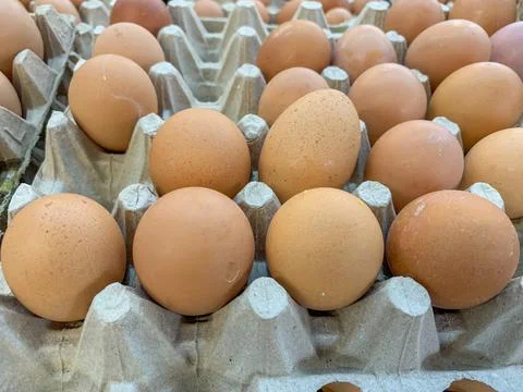 Chicken's Eggs Stock Photos