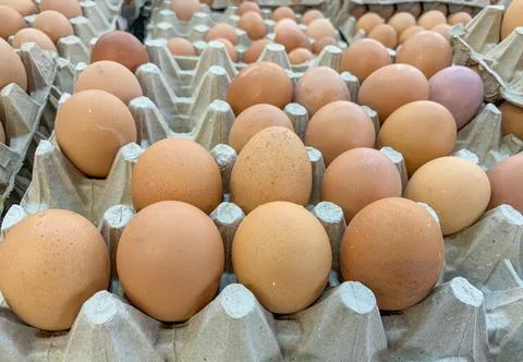Chicken's Eggs Stock Photos