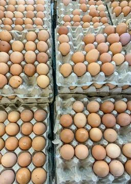 Chicken's Eggs Stock Photos