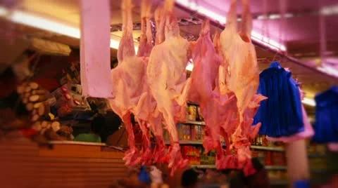 Chickens hanging upside down in butcher Stock Footage 10861317