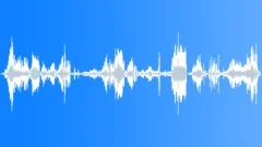 Chickens Hen House Chorus Sound Effect