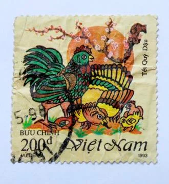 Chickens Stock Photos