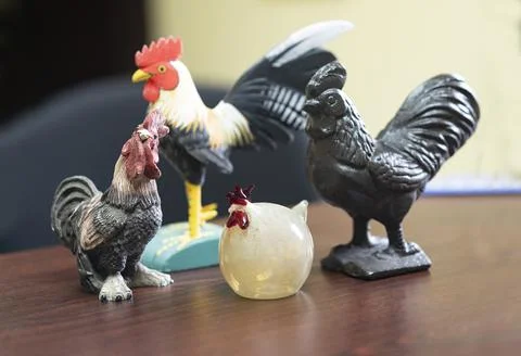 Chickens Stock Photos