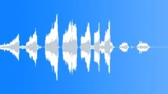 Chickens Squawk 6Sound Effect