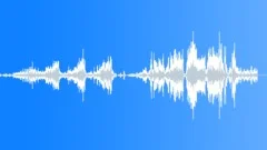 Chickens Talking BizarreSound Effect