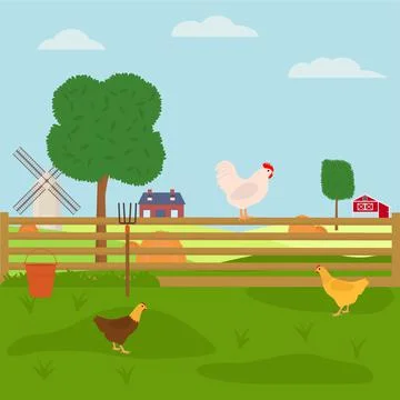Chickens walking on the farm. Flat vector illustration Ilustración de archivo