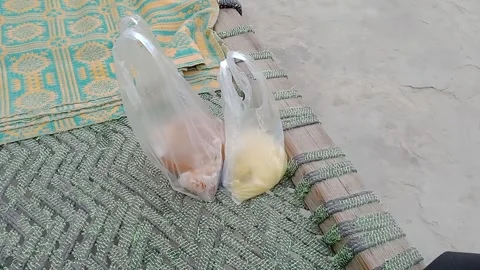 Chickpea and Lentil Packets Placed Side by Side in Daylight Stock-Footage 347182237