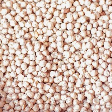 Chickpea as background Stock Photos
