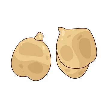 Chickpea Stock Illustration