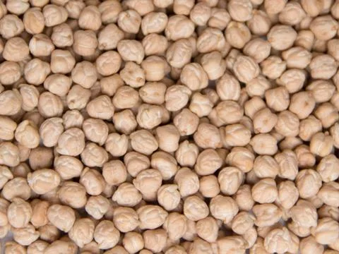 Chickpea Stock Photos