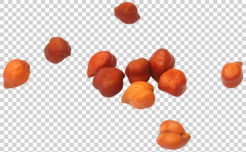 Chickpea in a scoop Stock Photos