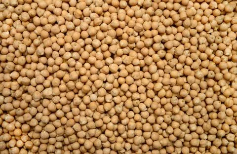 Chickpeas beans background Stock Photos