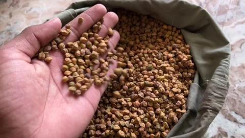 Chickpeas Falling from Hand | Raw Gram Pour Close-Up Natural Footage Stock Footage 318840243