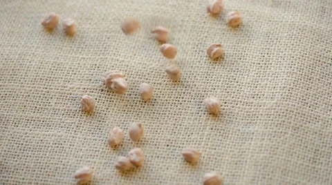Chickpeas Stock-Footage 33691174