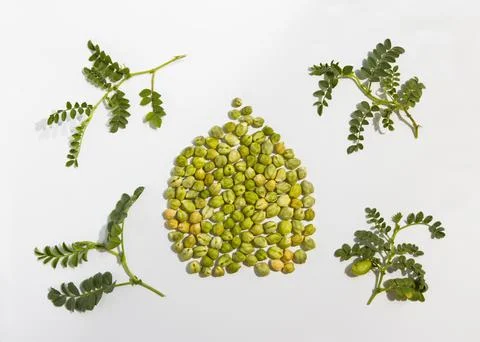Chickpeas on a white background. Flat lay. Stock Photos
