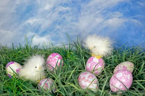 Chicks and Easter eggs Stock Photos