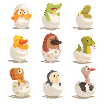 Chicks and reptiles hatch from eggs set, unborn animals vector Illustrations Stock Illustration