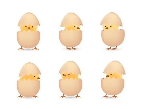 Chicks in cracked eggs set Stock Illustration