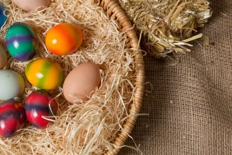 Chicks with easter eggs in a easter nest. Stock Photos