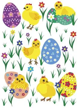 Chicks Stock Illustration