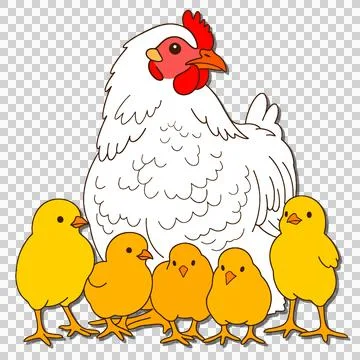 Chicks 库存插图