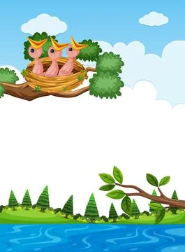 Chicks in nest on tree branch Stock Illustration