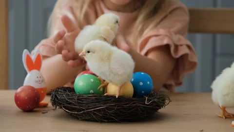 Chicks Sitting in Nest with Easter Eggs by Child Stock Footage 168113484