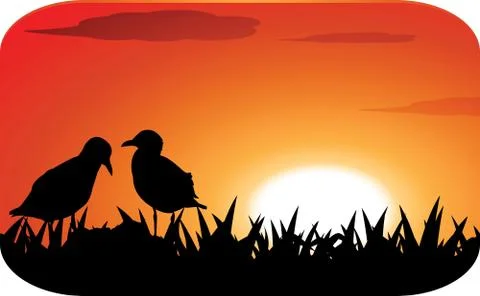 Chicks at sunset Illustrazione stock