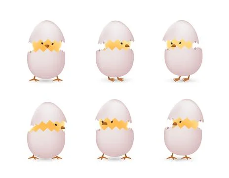 Chicks in white broken eggs set Illustrazione stock