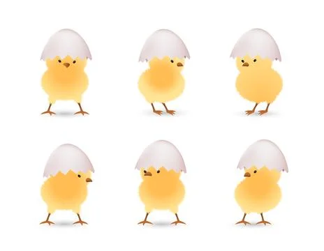 Chicks in white broken eggs top set Stock Illustration