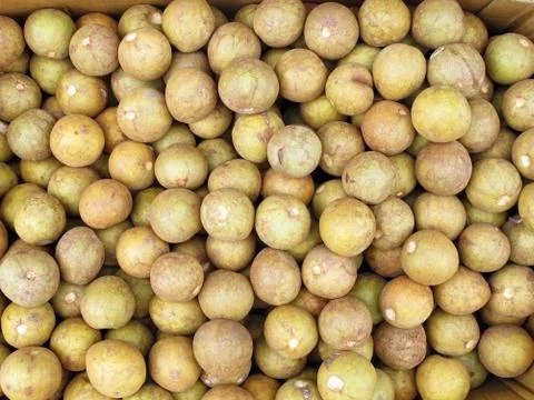 Chico fruit Stock Photos
