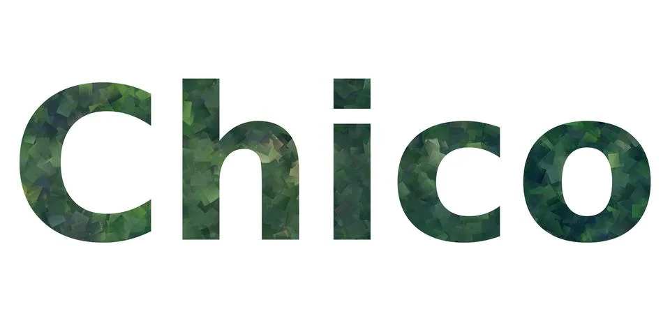 Chico Stock Illustration